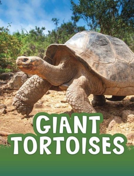 Produktbild: Giant Tortoises