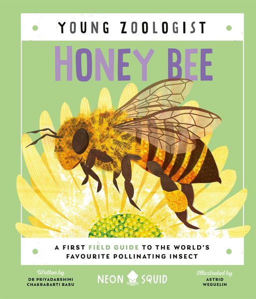 Produktbild: Honey Bee (Young Zoologist)