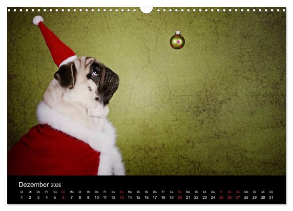 Produktbild: Der MOPS-Kalender (Wandkalender 2026 DIN A3 quer), CALVENDO Monatskalender