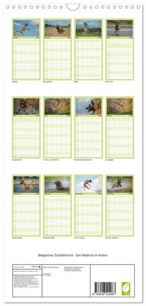 Produktbild: Familienplaner 2026 - Belgischer Sch&auml;ferhund - Der Malinois in Action mit 5 Spalten (Wandkalender, 21 x 45 cm) CALVENDO