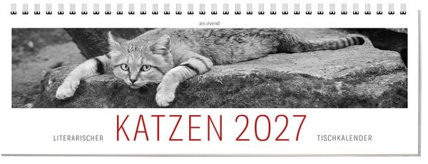 Produktbild: Tischkalender Katzen 2027