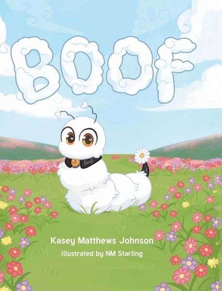Produktbild: BOOF
