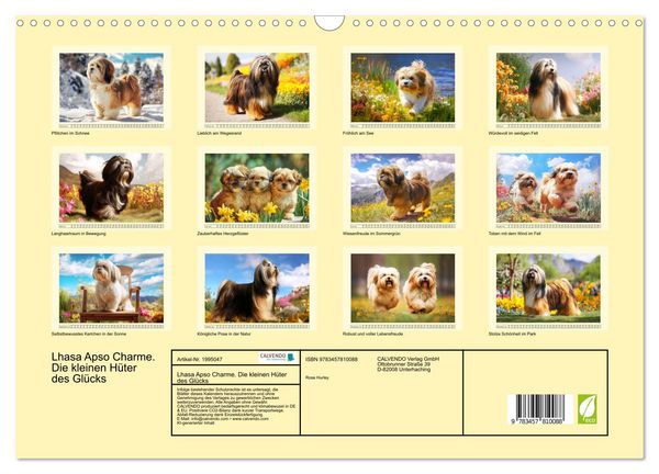 Produktbild: Lhasa Apso Charme. Die kleinen H&uuml;ter des Gl&uuml;cks (Wandkalender 2026 DIN A3 quer), CALVENDO Monatskalender