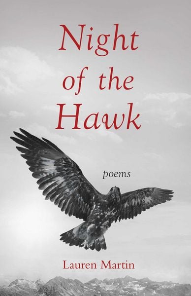 Produktbild: Night of the Hawk