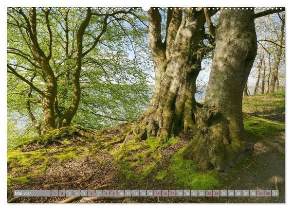 Produktbild: Am sch&ouml;nsten Uferabschnitt der Schlei (hochwertiger Premium Wandkalender 2027 DIN A2 quer), Kunstdruck in Hochglanz