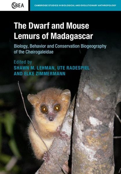 Produktbild: Dwarf and Mouse Lemurs of Madagascar