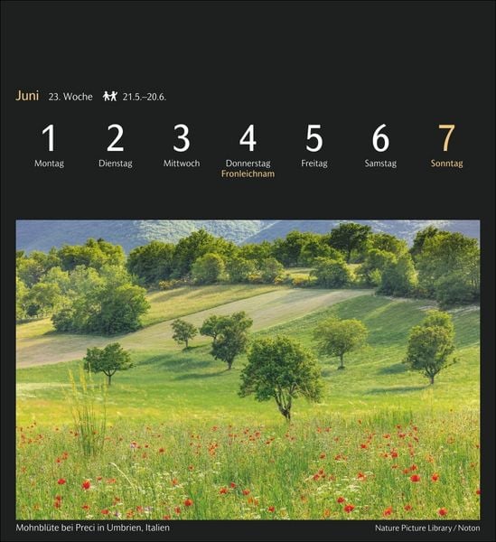 Produktbild: Magic Nature Postkartenkalender Kalender 2026 - Kalender mit 53 Postkarten