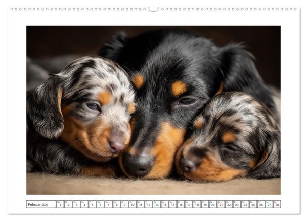 Produktbild: Kleine Beine, gro&szlig;es Gl&uuml;ck (hochwertiger Premium Wandkalender 2027 DIN A2 quer), Kunstdruck in Hochglanz