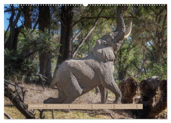 Produktbild: Afrikas Tierwelt - Wilde Elefanten (hochwertiger Premium Wandkalender 2026 DIN A2 quer), Kunstdruck in Hochglanz