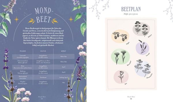 Produktbild: Die Magie der Natur: Hexenkr&auml;uter im Hochbeet