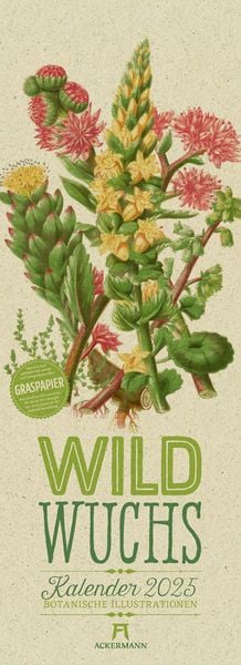 Wildwuchs - Botanische Illustrationen - Graspapier-Kalender 2025