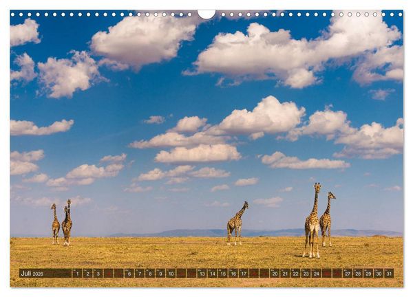 Produktbild: Auf Safari in Kenia 2026 (Wandkalender 2026 DIN A3 quer), CALVENDO Monatskalender