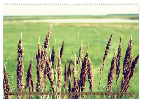 Produktbild: Focus Natur (Wandkalender 2026 DIN A2 quer), CALVENDO Monatskalender
