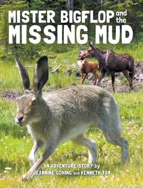 Produktbild: Mister Bigflop and the Missing Mud
