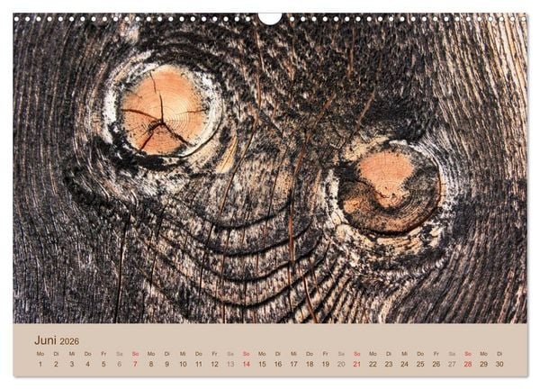 Produktbild: Farben des Holzes (Wandkalender 2026 DIN A3 quer), CALVENDO Monatskalender