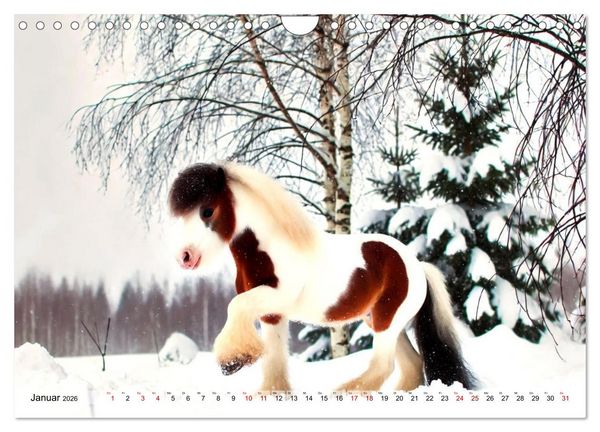 Produktbild: Faszination Tinker (Wandkalender 2026 DIN A4 quer), CALVENDO Monatskalender