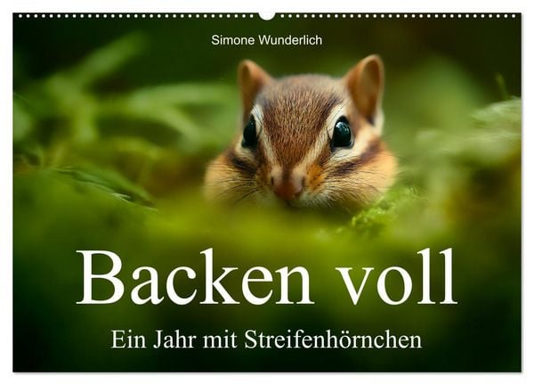 Backen voll - Ein Jahr mit Streifenhörnchen (Wandkalender 2026 DIN A2 quer), CALVENDO Monatskalender