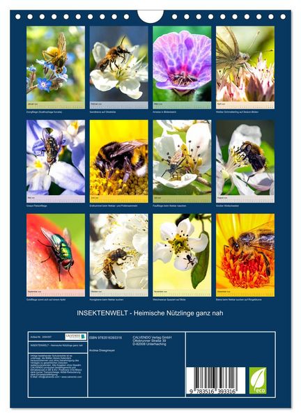 Produktbild: INSEKTENWELT - Heimische N&uuml;tzlinge ganz nah (Wandkalender 2026 DIN A4 hoch), CALVENDO Monatskalender