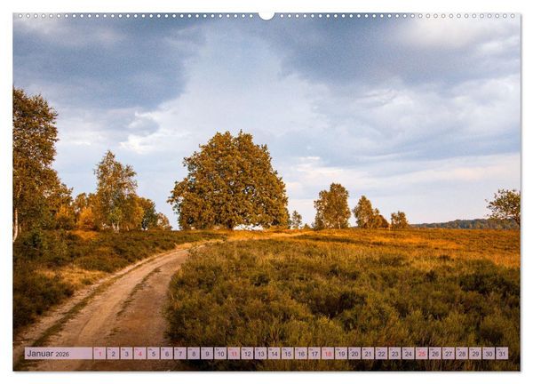 Produktbild: Wunderbare Heidelandschaften (hochwertiger Premium Wandkalender 2026 DIN A2 quer), Kunstdruck in Hochglanz