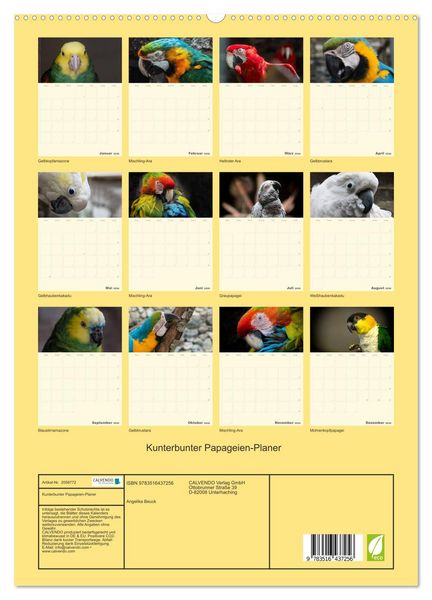 Produktbild: Kunterbunter Papageien-Planer (hochwertiger Premium Wandkalender 2026 DIN A2 hoch), Kunstdruck in Hochglanz