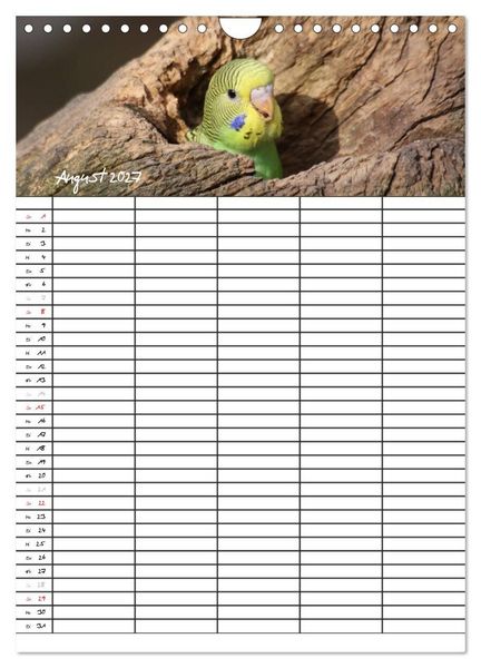Produktbild: Wellensittiche (Wandkalender 2027 DIN A4 hoch), CALVENDO Monatskalender
