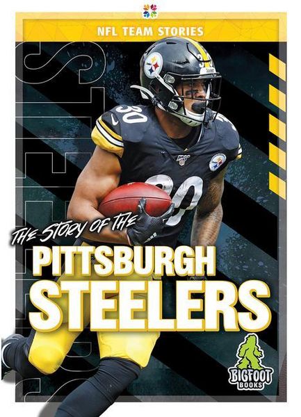 Produktbild: The Story of the Pittsburgh Steeler