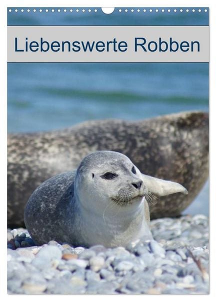 Produktbild: Liebenswerte Robben (Wandkalender 2027 DIN A3 hoch), CALVENDO Monatskalender
