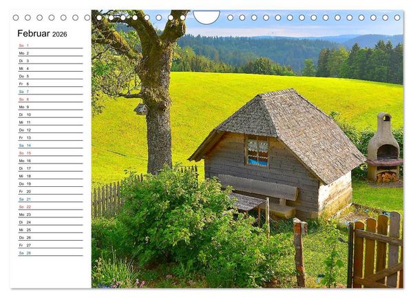 Produktbild: Landleben (Wandkalender 2026 DIN A4 quer), CALVENDO Monatskalender