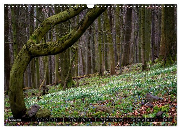Produktbild: Die Rh&ouml;n (Wandkalender 2026 DIN A3 quer), CALVENDO Monatskalender