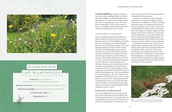 Produktbild: Wilde Ecken f&uuml;r jeden Garten