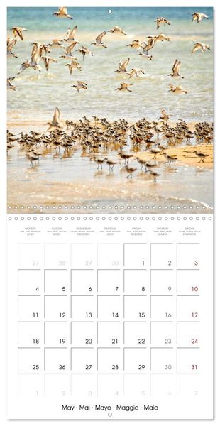 Produktbild: Destination Lamu (Wall Calendar 2026 12 &times; 12 Inch) CALVENDO 12 Month Wall Calendar