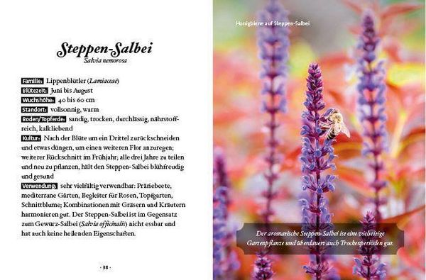 Produktbild: Das kleine Buch: Mein Garten für Bienen & Schmetterlinge
