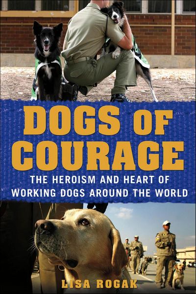 Produktbild: Dogs of Courage