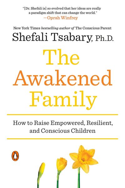 Produktbild: The Awakened Family