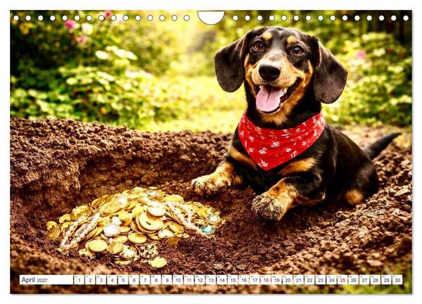 Produktbild: Wovon Hunde tr&auml;umen (Wandkalender 2027 DIN A4 quer), CALVENDO Monatskalender
