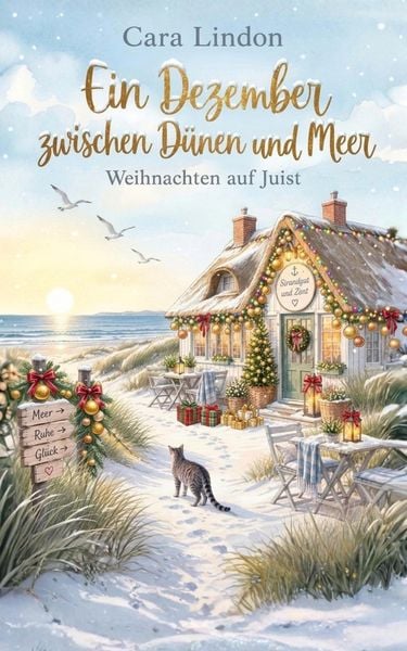 Produktbild: Ein Dezember zwischen D&uuml;nen und Meer