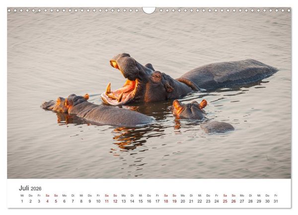 Produktbild: Botswana - Eine spannende Reise in ein wundersch&ouml;nes Land. (Wandkalender 2026 DIN A3 quer), CALVENDO Monatskalender