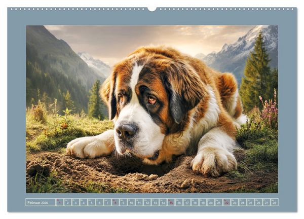 Produktbild: K&ouml;nigliche Bernhardiner. Die sanften Riesen der Alpen (hochwertiger Premium Wandkalender 2026 DIN A2 quer), Kunstdruck in Hochglanz
