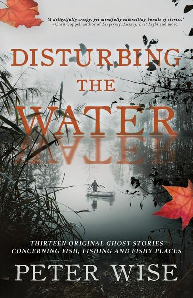 Produktbild: Disturbing the Water