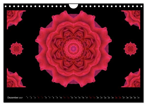 Produktbild: ROSEN MANDALAS (Wandkalender 2027 DIN A4 quer), CALVENDO Monatskalender