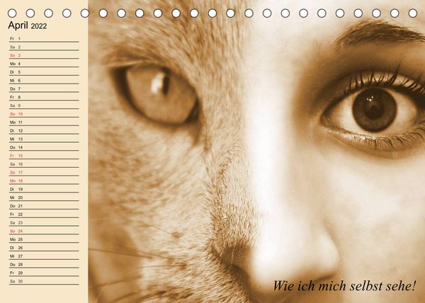 Produktbild: Unsere Katzen. Wie sie wirklich sind! (Tischkalender 2022 DIN A5 quer)