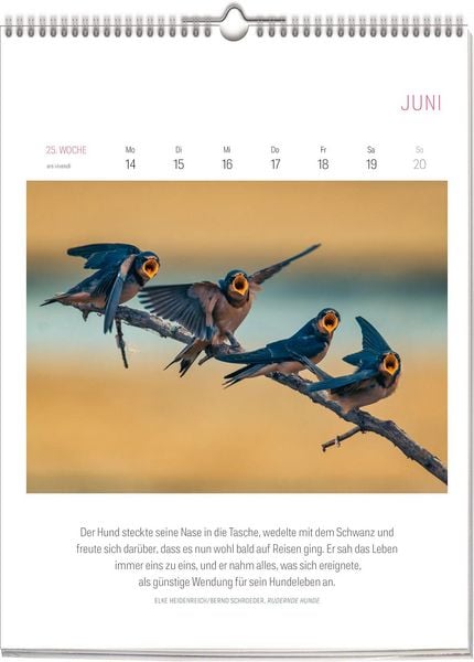 Produktbild: Literarischer Vogel Kalender 2027
