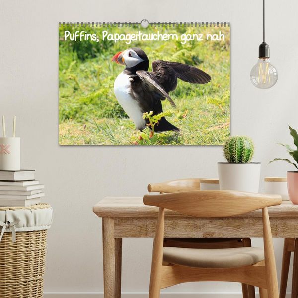 Produktbild: Puffins, Papageitauchern ganz nah (Wandkalender 2026 DIN A3 quer), CALVENDO Monatskalender