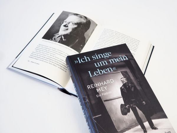 Produktbild: "Ich singe um mein Leben". Reinhard Mey &ndash; ein Portr&auml;t