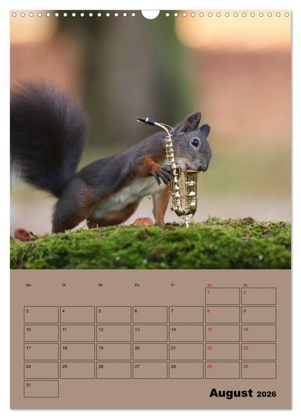 Produktbild: Eichh&ouml;rnchen - Planer (Wandkalender 2026 DIN A3 hoch), CALVENDO Monatskalender