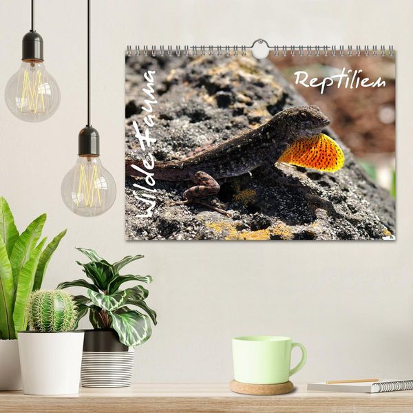 Produktbild: Wilde Fauna - Reptilien (Wandkalender 2026 DIN A4 quer), CALVENDO Monatskalender