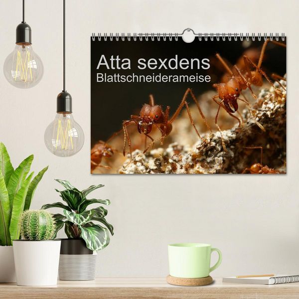 Produktbild: Atta sexdens - Blattschneiderameise (Wandkalender 2026 DIN A4 quer), CALVENDO Monatskalender