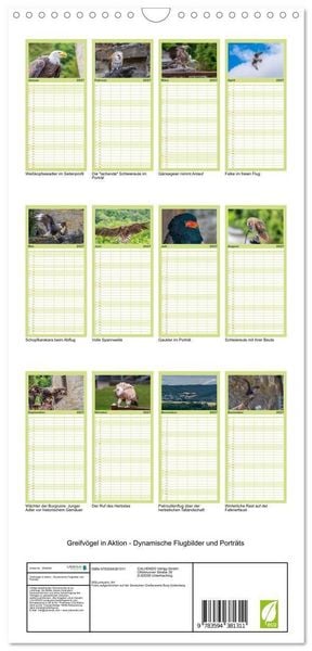 Produktbild: Familienplaner 2027 - Greifv&ouml;gel in Aktion - Dynamische Flugbilder und Portr&auml;ts mit 5 Spalten (Wandkalender, 21 x 45 cm) CALVENDO