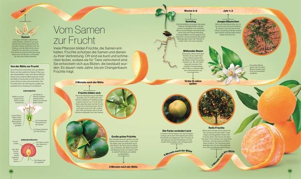 Produktbild: Reise durch die Natur