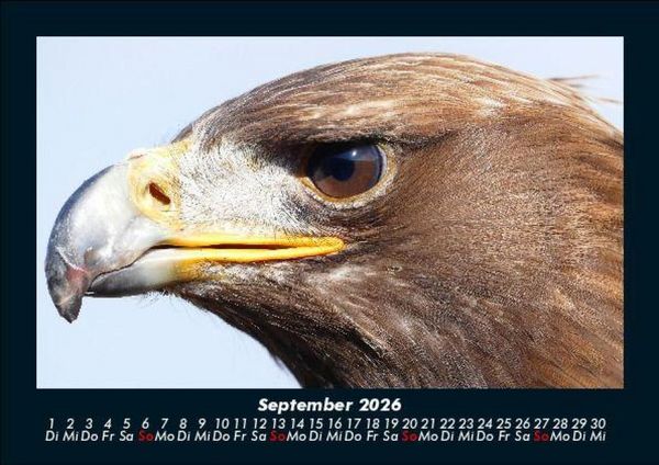 Produktbild: Vogelparadies 2026 Fotokalender DIN A5